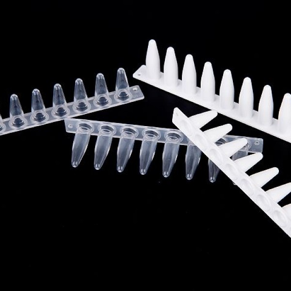 PCR 8聯管